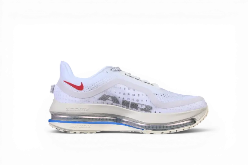 Nike Pegasus Premium Forrest Gump